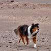 Exploring the Altiplano